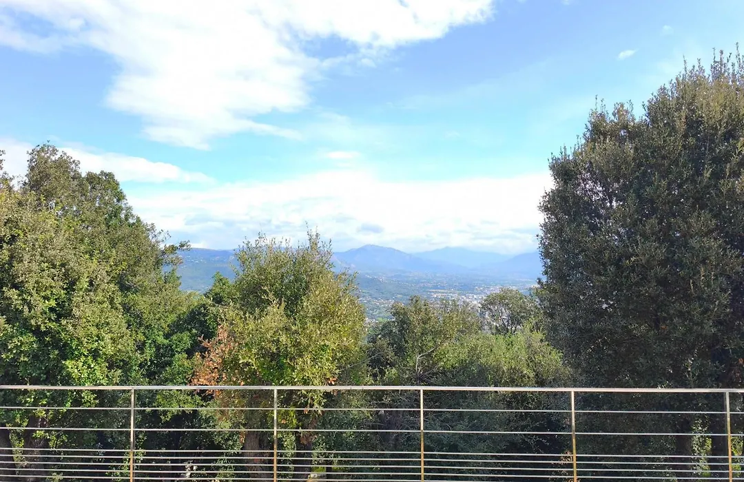 Apartment 3 Rooms With Garden In Ajaccio-1